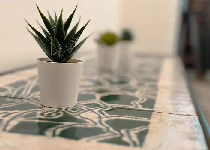 Romeo * Marina di Pietrasanta